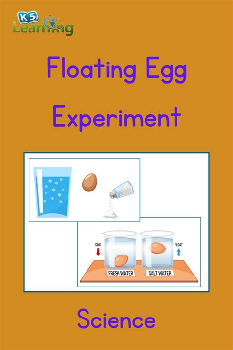 Floating Egg Experiment Worksheet