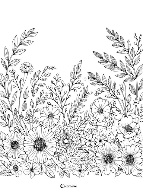 Floral Color Pages