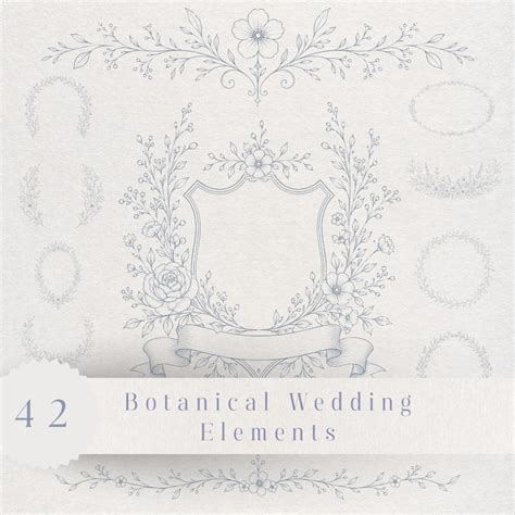 Download Floral Frames Bundle 40 Designs Images