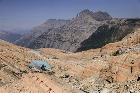 Explore the Bloom with Floral Park Traverse Map