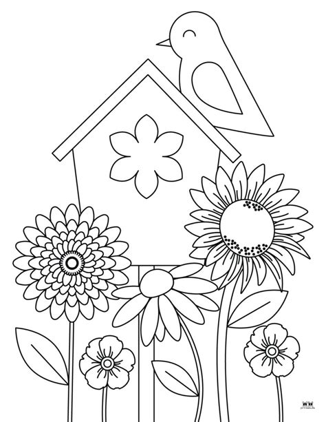 Floral Summer Flower Coloring Page