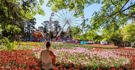 Floriade Festival