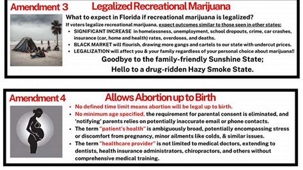 Florida Amendment 3 2024 Explained In English Version