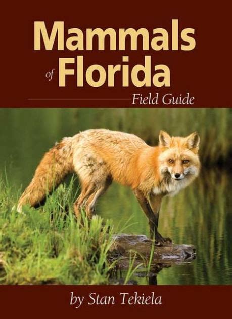 Florida Field Guide