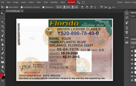 Florida Drivers License Template 2018