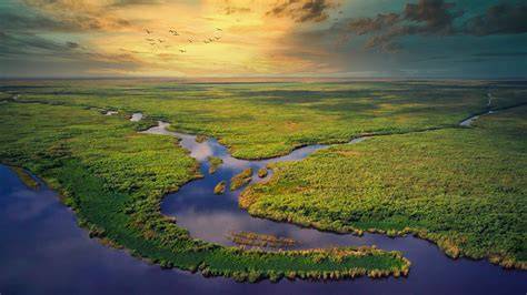 Florida Everglades