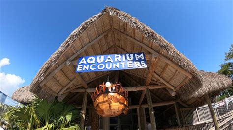 Florida Keys Aquarium Encounters: A Day Tour Review