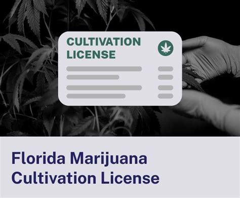 Florida Marijuana Grow License