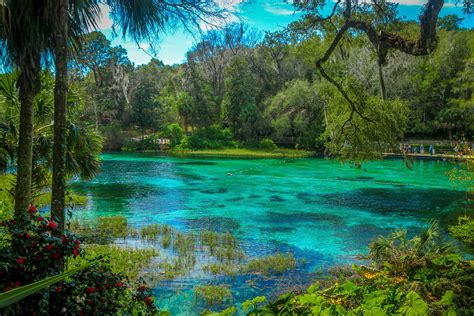 Naturaleza en Florida