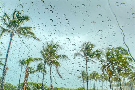 Florida lloviendo