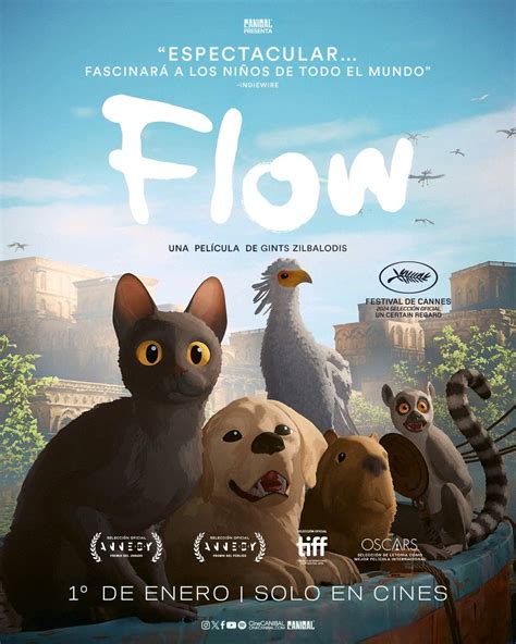Flow