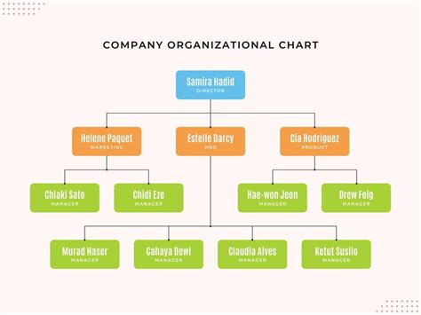 Flow Chart Of Company Management