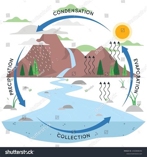 Flow Chart On Water Cycle