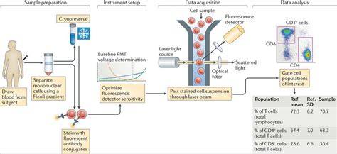 Flow Cytometry Immunophenotyping Test and interpretation
