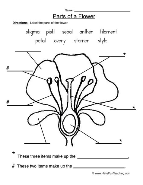 Environmental Science (EVS) Worksheet Flower parts and