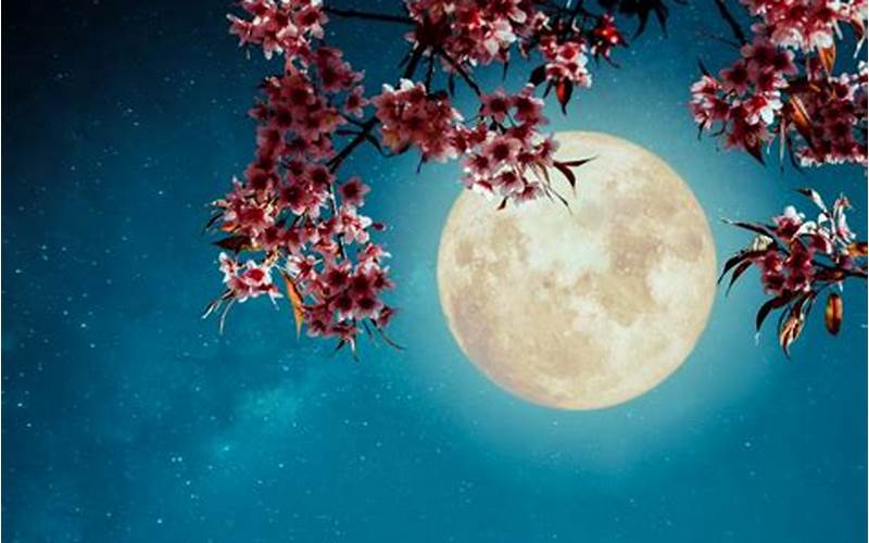 Flower Moon May 2023