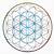 Flower Of Life Tattoo Meaning