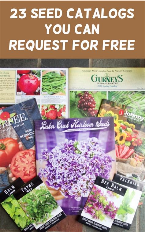 Flower And Vegetable Seed Catalogs