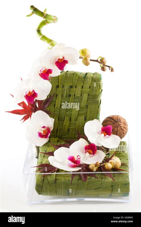 Flower Arrangement Using Orchids