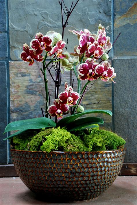 Flower Arrangements Orchids
