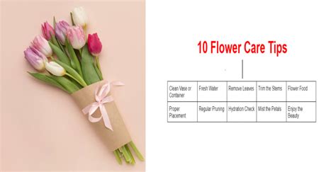 Flower Care Tips