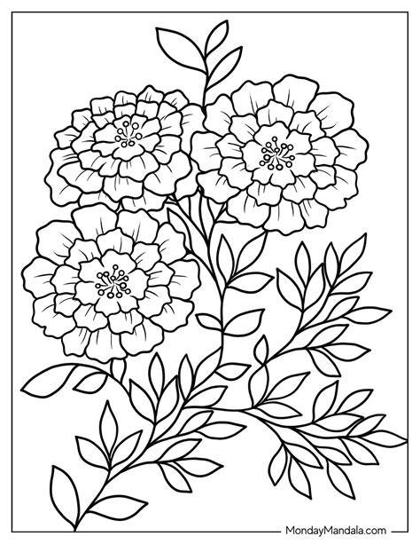 Flower Coloring Pages Free