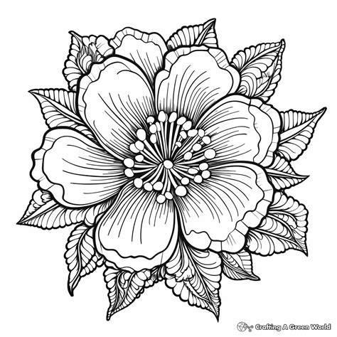 Flower Coloring Pages Hard