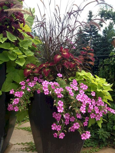 Flower Container Ideas For Full Sun