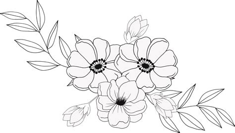 Flower Drawing Transparent PNGs Free Download