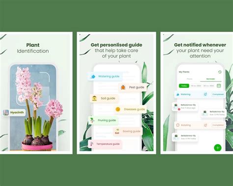 Flower Identification Apps