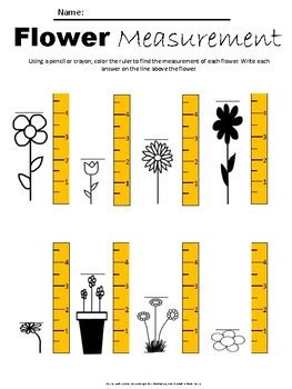 Flower Measurement Worksheet