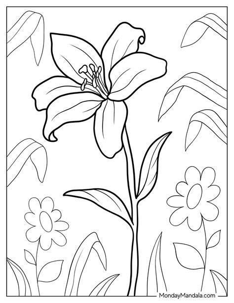 Flower Pdf Coloring Pages