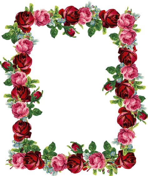 Download Flower Rose Border Crafts