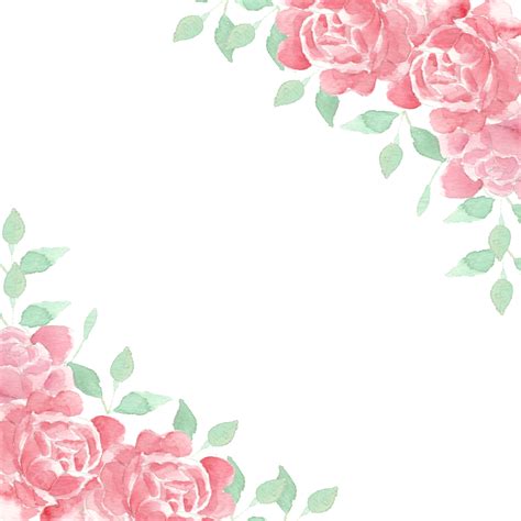 Download Flower Rose Border Files Free PSD Mockups