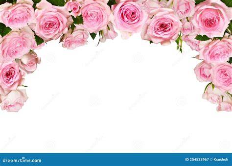 Download Flower Rose Border Images