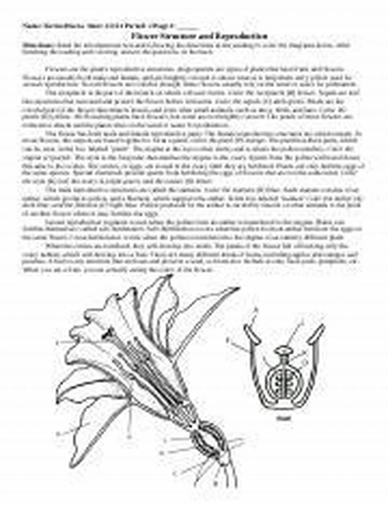 Flower Structure And Reproduction Coloring Answer Key