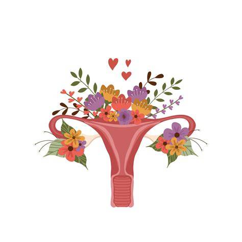Flower Uterus Drawing