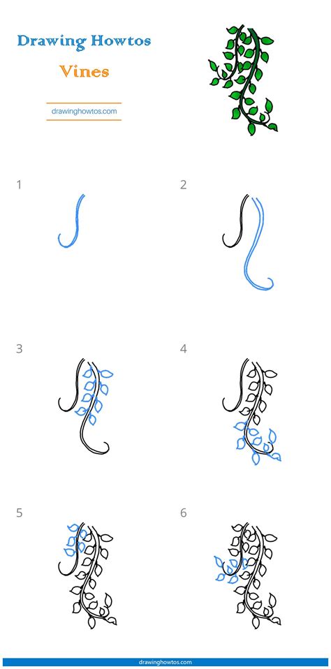 Flower Vine Drawing Step by Step