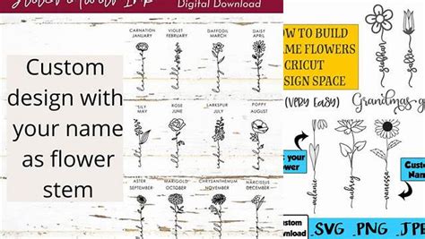 51+ Flower With Name Stem SVG, 3 Custom Name Flowers Birth Month Flower With Cursive. Free Wildflower SVG