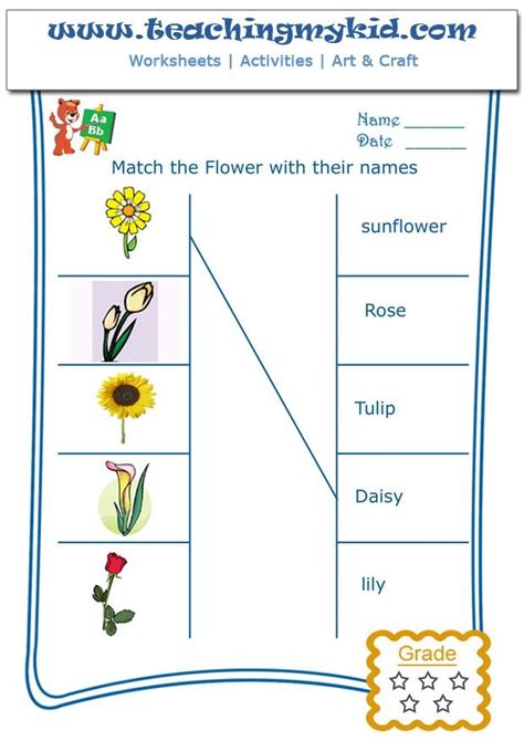 Flowers Worksheet For Kindergarten