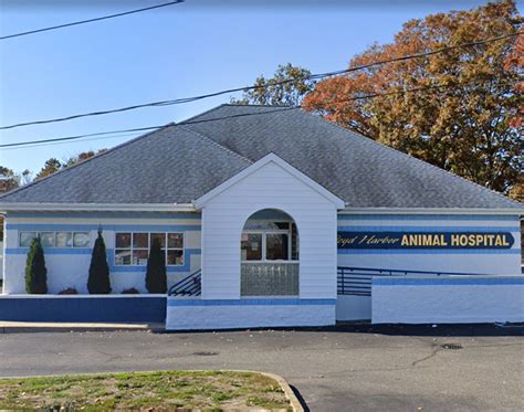 Floyd Harbor Animal Hospital: Expert Veterinary Care for Happy and Healthy Pets