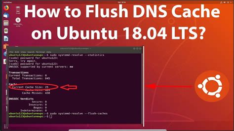 Flush DNS Cache in Ubuntu