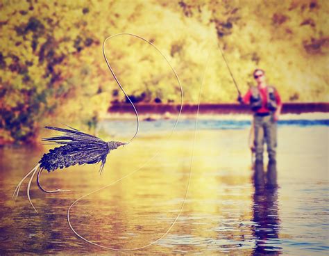 Where to Go Fly Fishing in Official Tourism & Travel
