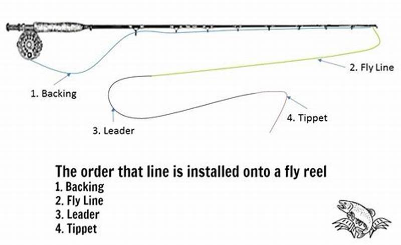 Fly Line Backing Chart