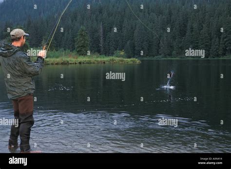 Catch and Release