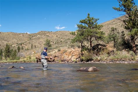 Fly fishing poudre river