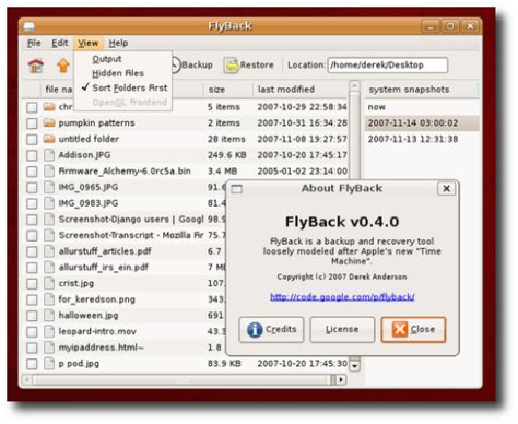 FlyBack Software