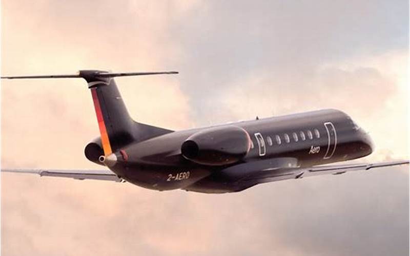 Flying In Style With Milan Private Jets