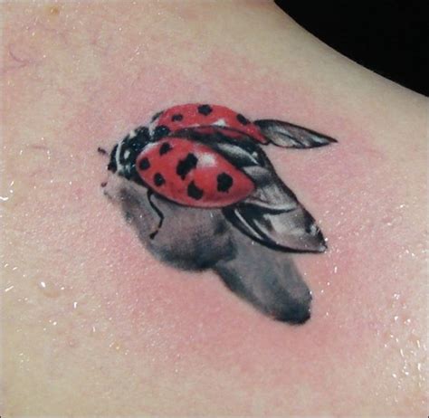 Cool Ladybug Tattoos Best Tattoo Ideas Gallery
