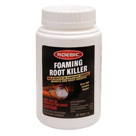 Foaming Root Killer Review